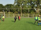 Training Schouwen-Duiveland Selectie Onder 13 & 14 op sportpark 'Het Springer' van maandag 5 juni 2023 (36/53)